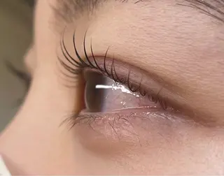 マツエク・マツパ eyelash salon　teraのマツエク・マツパデザイン