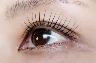 マツエク・マツパ Eyelash Luaのマツエク・マツパデザイン