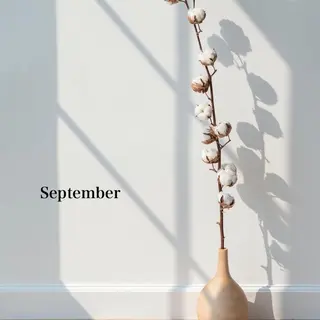 マツエク・マツパ 浦和駅近完全個室 Michikoのマツエク・マツパデザイン