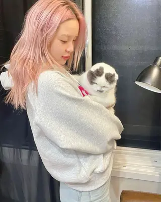 カラー 🤍韓国ワンホンヘ ア SHIONE🤍のヘアスタイル