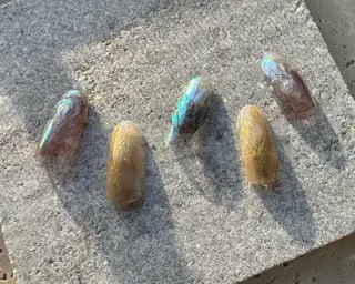 ネイル tree houseのネイルデザイン