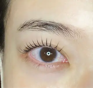 マツエク・マツパ Dahlia beauty新岩聖可のマツエク・マツパデザイン