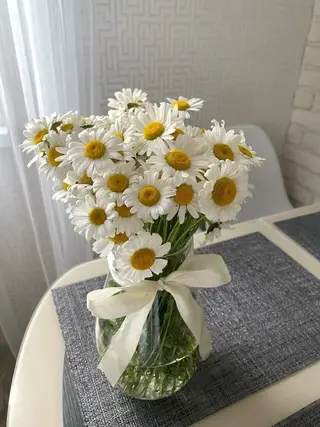 serein 晴空ೀのマツエク・マツパデザイン