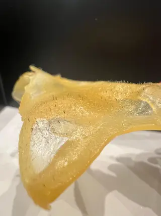 艶肌wax shoco所属・艶肌wax®︎ shocoのエステ・リラクイメージ