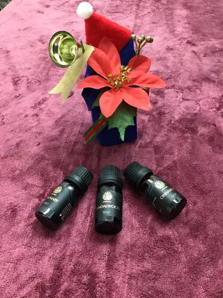 まごころ鍼灸整骨院所属・まごころ鍼灸整骨院 京王堀之内院のエステ・リラクイメージ