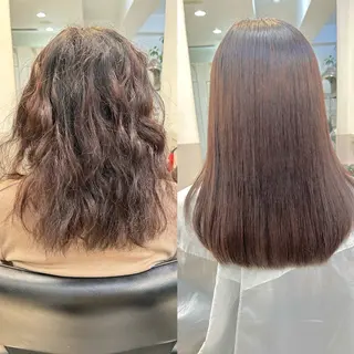 ショート ボブカット/ 尾崎龍聖のヘアスタイル