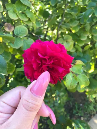 ネイル パーソナルカラー診断 船橋日大前駅店のその他イメージ