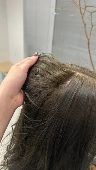 セミロング 櫻木李紗/金山 透明感カラーのヘアスタイル