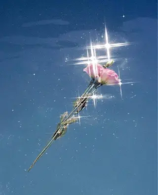 マツエク・マツパ ✨アイリスト✨ JURIのマツエク・マツパデザイン