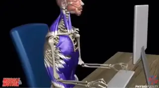 そノさき所属・大阪のシーサー🦁 島袋のエステ・リラクイメージ