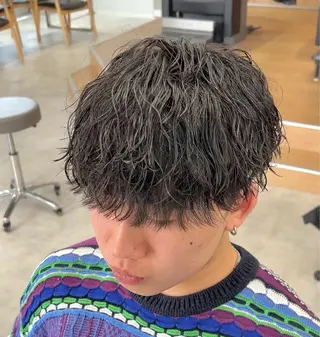 ショート パーマ メンズ メンズパーマ/ 新潟駅/佐藤裕のヘアスタイル