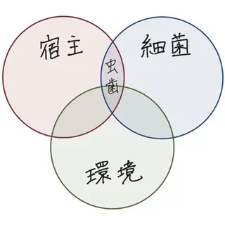 パーマ メンズ ホワイトニングサロン nico西葛西店のその他イメージ