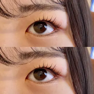 マツエク・マツパ covo eyelash所属・covo 🐻の眉毛・アイブロウイメージ