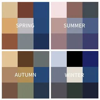 パーソナルカラー診断 骨格・顔診断🪞カナのその他イメージ