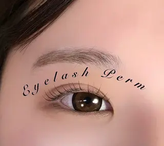 マツエク・マツパ Lucia 森田のマツエク・マツパデザイン