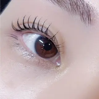 マツエク・マツパ beauty: beast並木eyeのマツエク・マツパデザイン