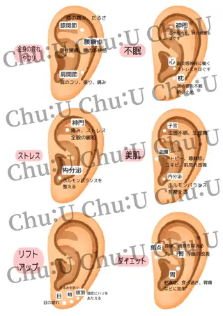 GO TODAY SHAIRE SALON 銀座Cras所属・韓国風眉×顔タイプ 診断®  Naoの眉毛・アイブロウイメージ
