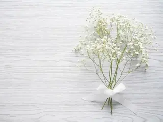 ショート ヘアアレンジ 🌿あがりれいなのその他イメージ