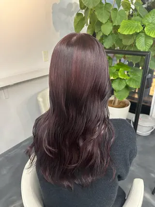 カラー Steed Tokyo所属・Steed /立川/ レイヤー/futahのヘアスタイル