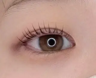 マツエク・マツパ AsK所属・AsK hair& eye 瞳のマツエク・マツパデザイン