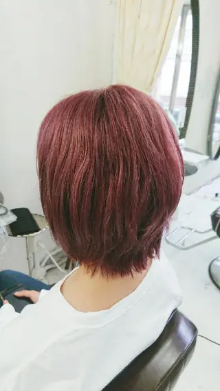 ショート カラー 坪井 佑美のヘアスタイル