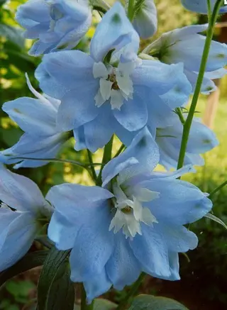 nail atelier  new moon所属・森 貴子のネイルデザイン