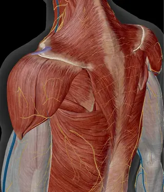 【鍼灸サロン にった】所属・はりきゅう整体 新田鍼灸院のエステ・リラクイメージ