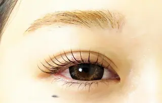 マツエク・マツパ 🎼グラデーション スタイル札幌♫*✧のマツエク・マツパデザイン