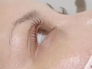 マツエク・マツパ 【fufula】 薬院店のマツエク・マツパデザイン