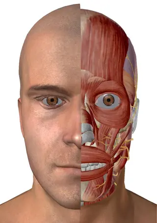 小林整骨院玉川 キジマのエステ・リラクイメージ