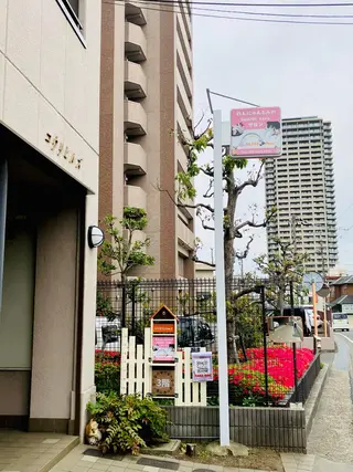 BLISS🐾Paws所属・わんにゃんと通える ヘルスケアサロンのエステ・リラクイメージ