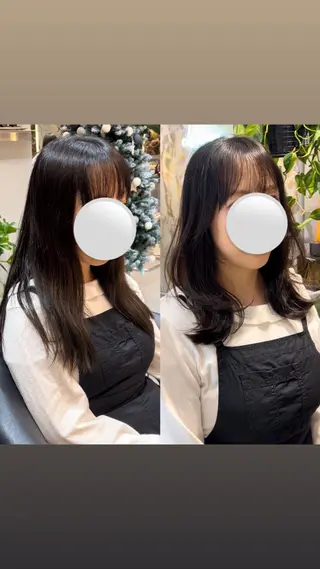 ミディアム メンズ/韓国レイヤー /縮毛矯正/📍爽太のヘアスタイル