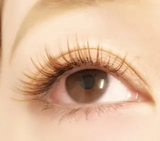 マツエク・マツパ Lanhr所属・【Lanhr】 🕊aya🕊のマツエク・マツパデザイン