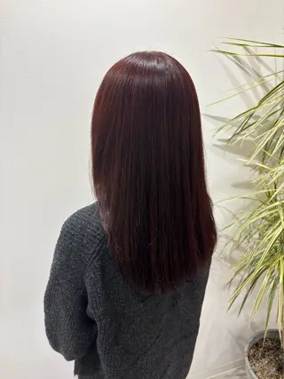 セミロング HUG 🤍ྀི chika🤍ྀིのヘアスタイル