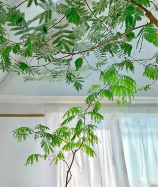 RENsalon大阪 体質改善リトリートのエステ・リラクイメージ