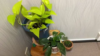 田川 美熙のエステ・リラクイメージ