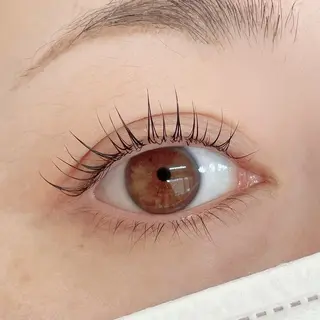 ใใใจใฏใปใใใ ๐๐๐๐๐ ๐ฆ๐ใฎใใใจใฏใปใใใใใถใคใณ