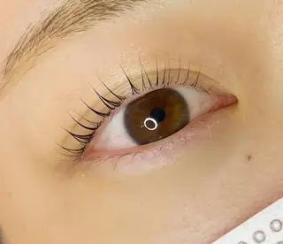 マツエク・マツパ 《eyelash ｉｉｔｅ》森のマツエク・マツパデザイン