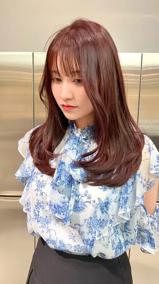 ロング カラー ハイトーン特化🤍/ 韓国ボブ / ハルナのヘアスタイル