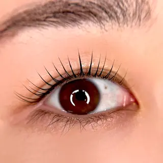 ใใใจใฏใปใใใ Lianๆๅฑใปใ๐๐ข๐๐งใ ๐๐ข๐จใฎใใใจใฏใปใใใใใถใคใณ