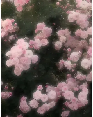 縮毛モデル募集中🫐 Ramu 🥣のヘアスタイル