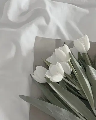 SSINSTUDIO 野口の眉毛・アイブロウイメージ