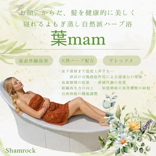 光美容シャムロック バスト、シミ専門店のエステ・リラクイメージ