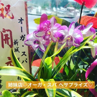 FLEUR大阪・美容 整体・痩身・小顔のエステ・リラクイメージ