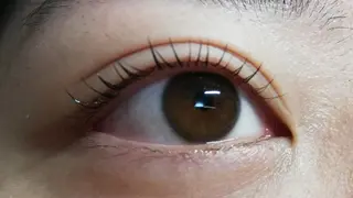 マツエク・マツパ angelux 所属・完全個室サロン🌹 angelux🌹のマツエク・マツパデザイン