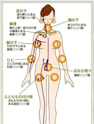 香りの家ローズマリー 🌿アロマリンパのエステ・リラクイメージ