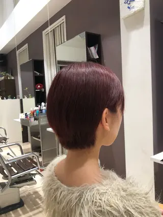 ショート 三浦 航平のヘアスタイル