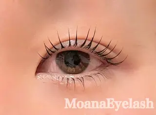 マツエク・マツパ 🍑Momo 【当日直前予約可◎】のマツエク・マツパデザイン