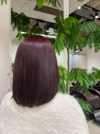 カラー 晶／艶髪カラー ／トリートメントのヘアスタイル