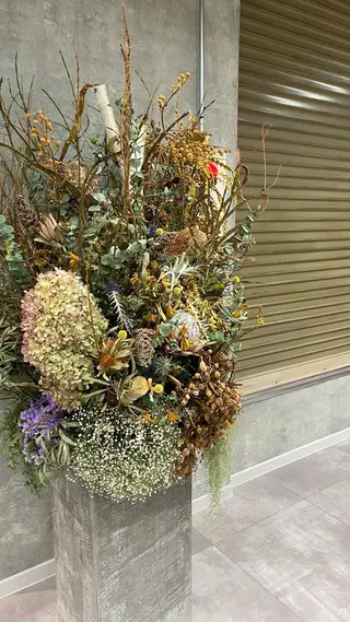 ใทใงใผใ ๐๐ช๐ช๐ ๐ .ใฎใใใจใฏใปใใใใใถใคใณ